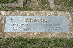 Ernstina Krause 