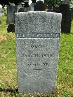 Celia Almira Webster 