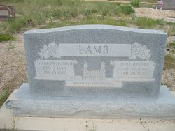 Henry Benjamin Lamb 