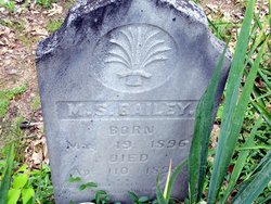M. S. Bailey 
