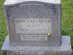 Erin <I>Callahan</I> Allen 