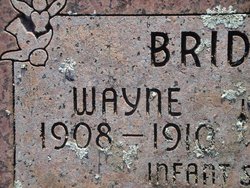 Wayne Bridges 