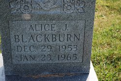 Alice J. Blackburn 
