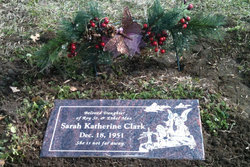 Sarah Katherine Clark 