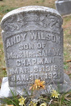 Andy Wilson Chapman 