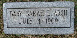 Sarah L Arch 