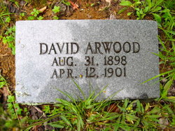 David Arwood 