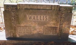 George W. Wallis 