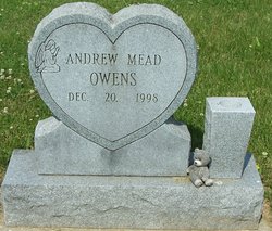 Andrew M Owens 