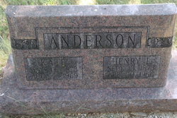 Henry Lee Anderson 
