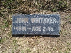 John Whitaker 