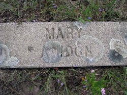 Mary <I>Springer</I> Amidon 