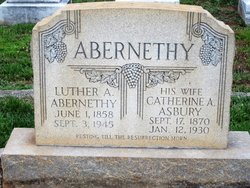 Catherine Alydia <I>Asbury</I> Abernethy 