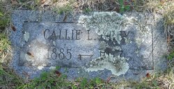 Callie L. Arey 
