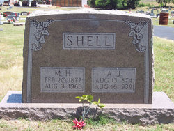 Andrew Jackson Shell 