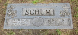 Cecilia A <I>Weckerle</I> Schum 