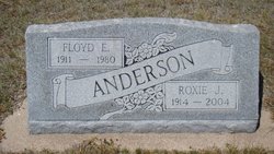 Floyd Edward Anderson 