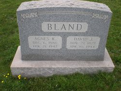 David J. Bland 