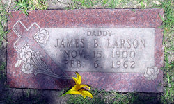 James Buice Larson 