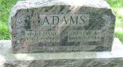 Albert Allen Adams 