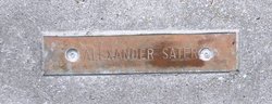 Alexander Sater 
