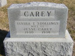 Elvira T <I>Stollings</I> Carey 
