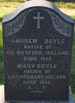Andrew Doyle 