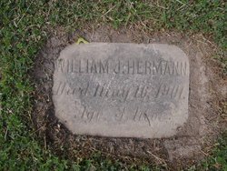 William J. Herrmann 