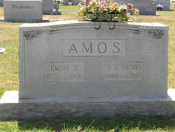Robert Lee Amos 