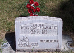 David George Bamberry 