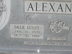 Sallie Fay <I>Gulley</I> Alexander 