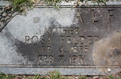 Rosa <I>Felder</I> Alford 