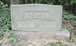 James Hubert Adams Sr.