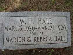 W. F. Hale 