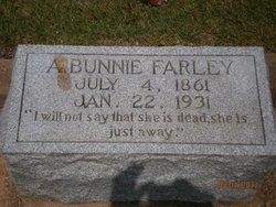 Annie Bunnie <I>Hendricks</I> Farley 