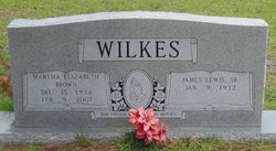 James Lewis Wilkes Sr.