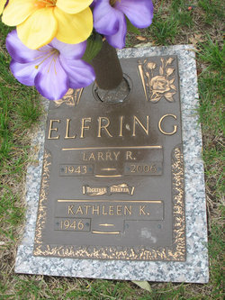 Larry R Elfring 