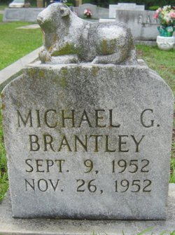 Michael G. Brantley 