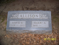Marie R. <I>Diibon</I> Allison 