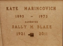 Sally M Blake 