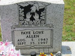 Willie Faye <I>Love</I> Allen 