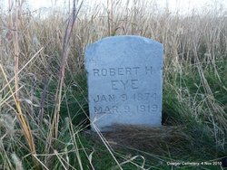 Robert Harvey Eye 