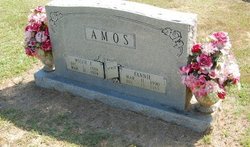 Fannie E <I>Woods</I> Amos 