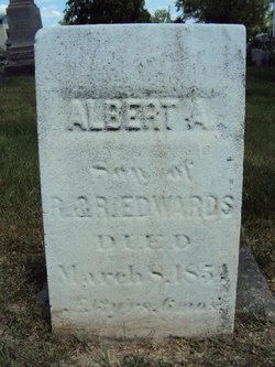 Albert Alonso Edwards 