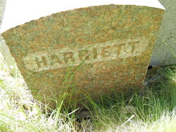 Harriet Bailey 