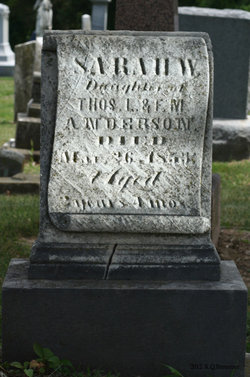 Sarah Winchell Anderson 