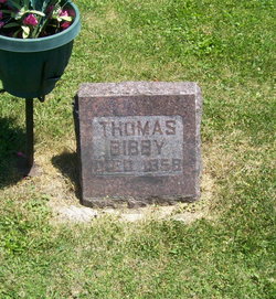 Thomas W Bibby 