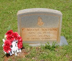 Chester Wayne Watson 
