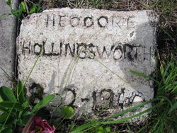 Theodore Hollingsworth 