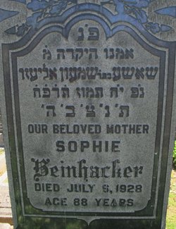 Sophie Beinhacker 